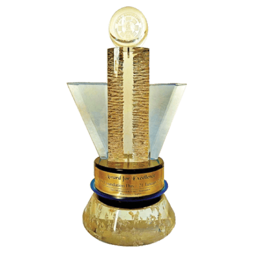 Award for Excellence (2013)